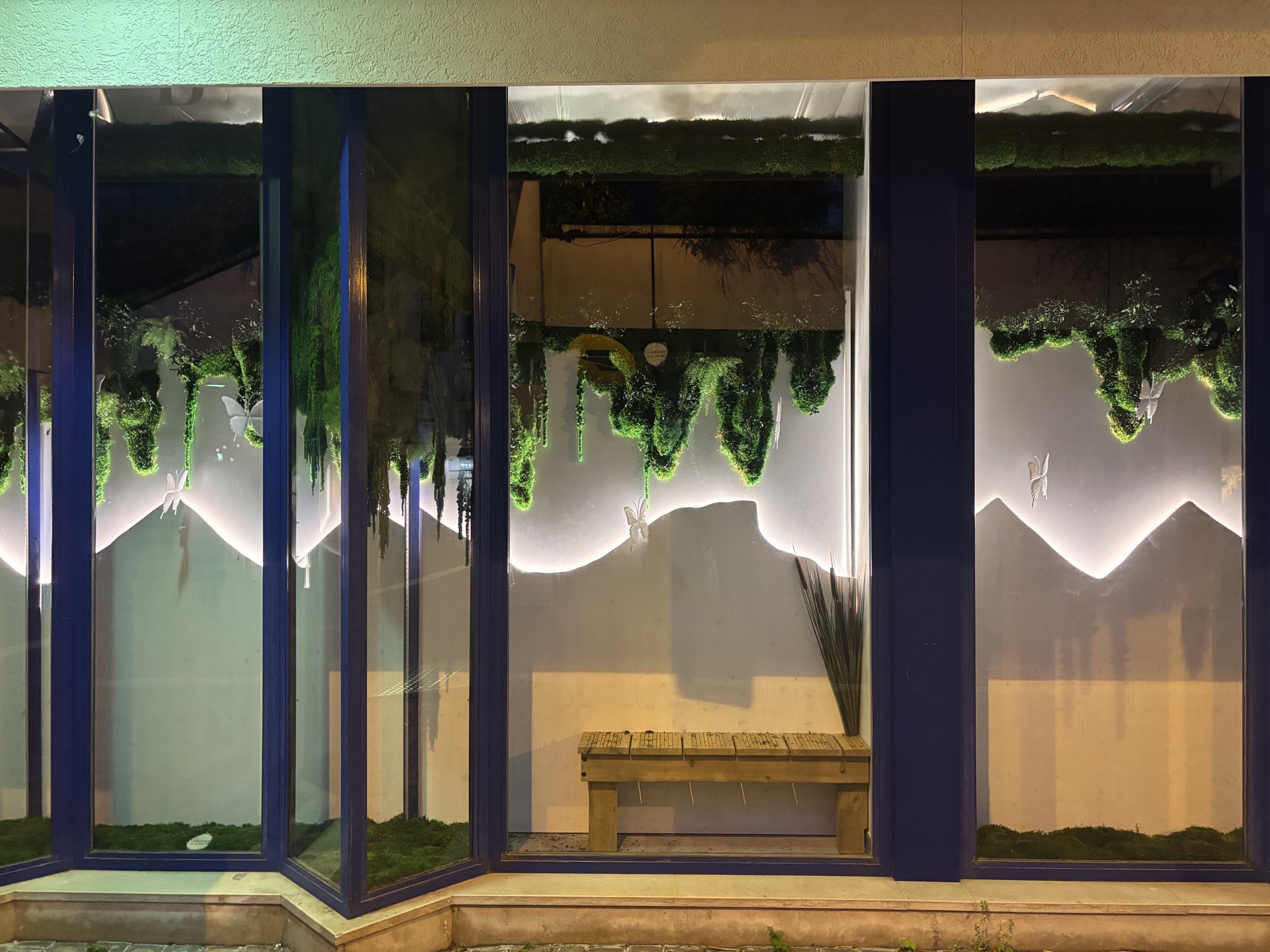 Biocoop, Scénographie de cinq vitrines pour un magasin bio