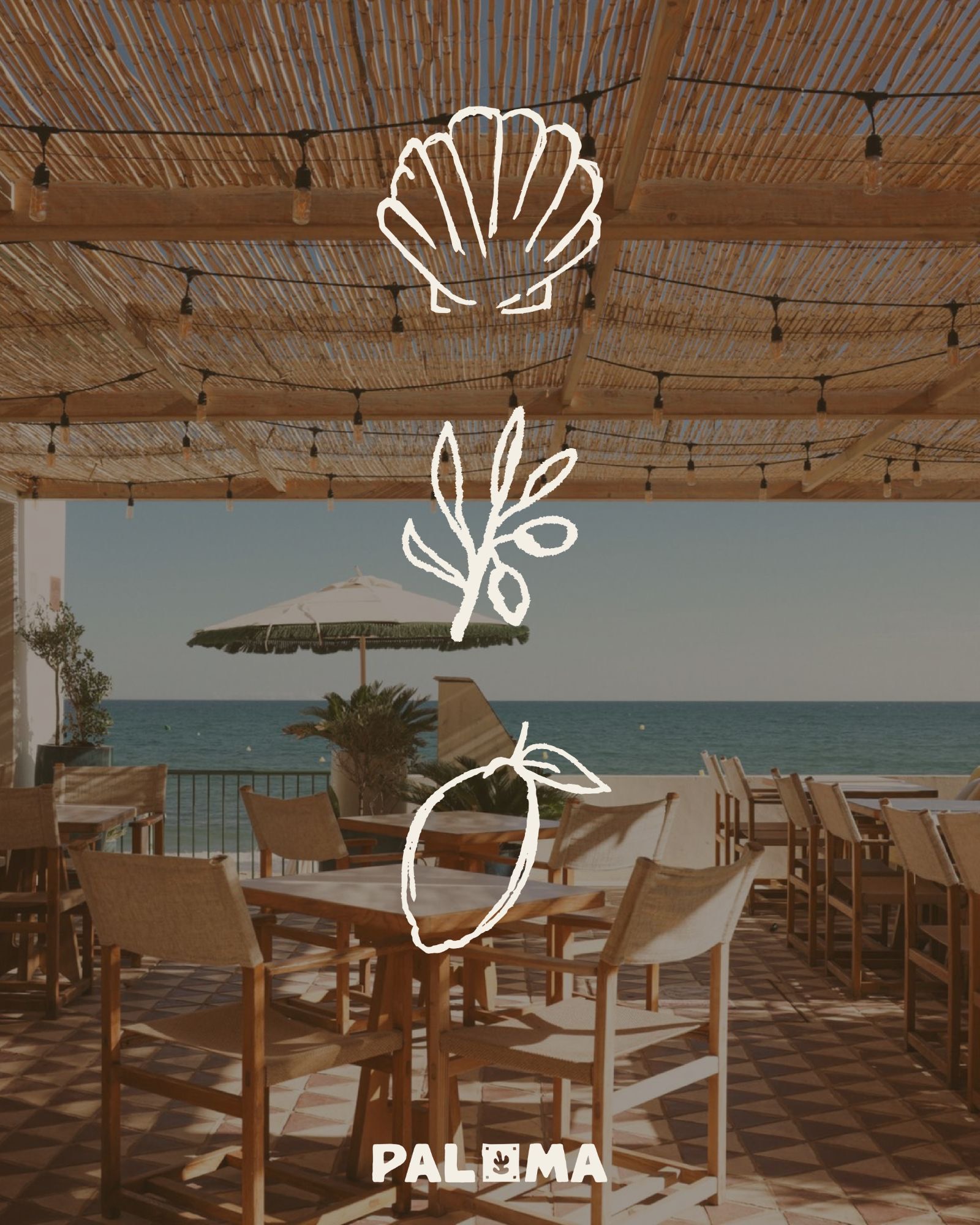 Paloma, visuel 2
